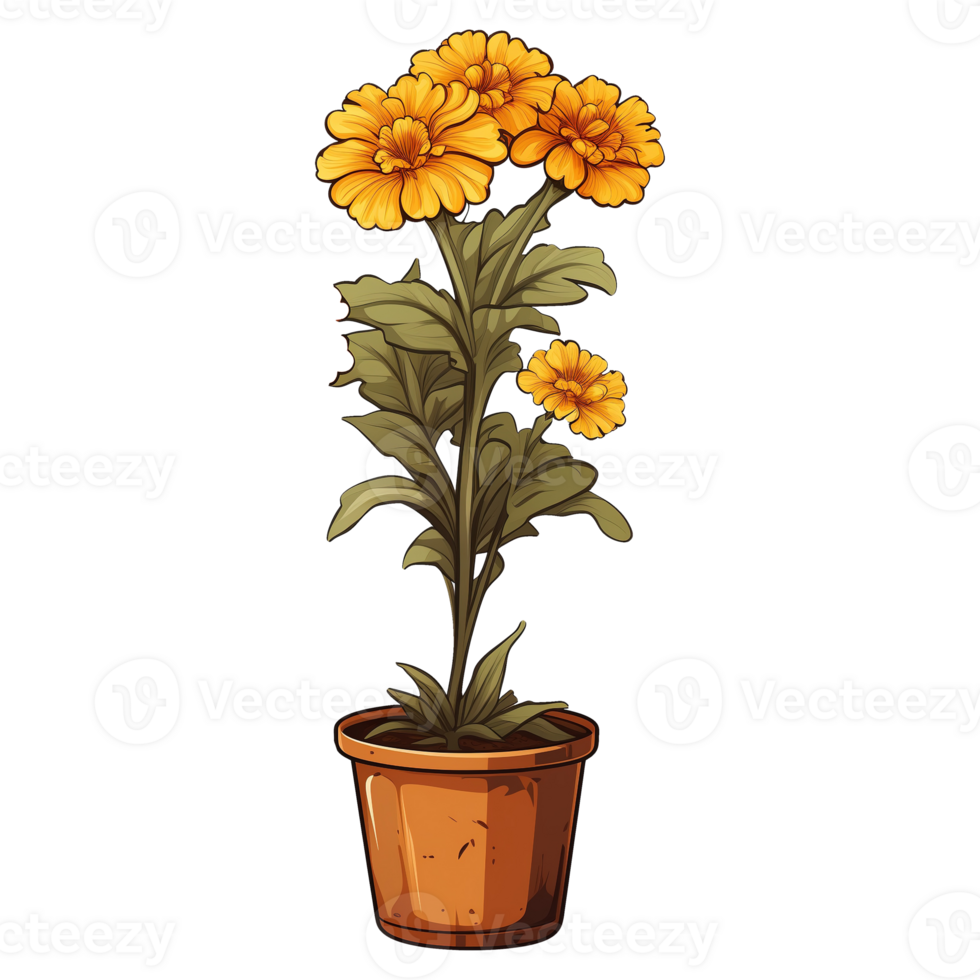 AI generated Marigold flowers illustration on transparent background png