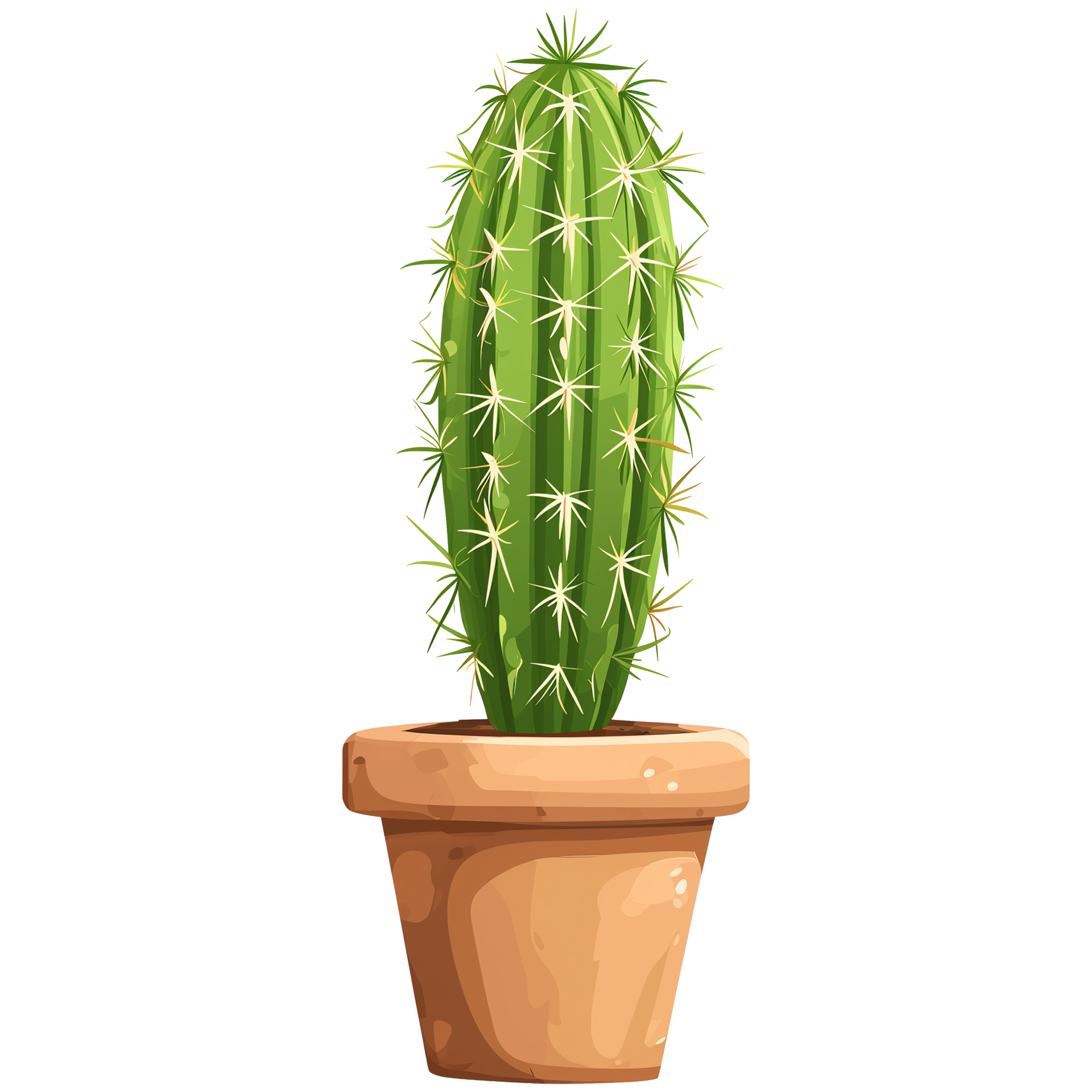 Images Of Christmas Cactuses