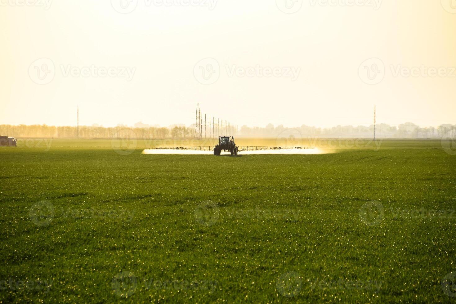 tractor con el ayuda de un rociador aerosoles líquido fertilizantes en joven trigo en el campo. foto