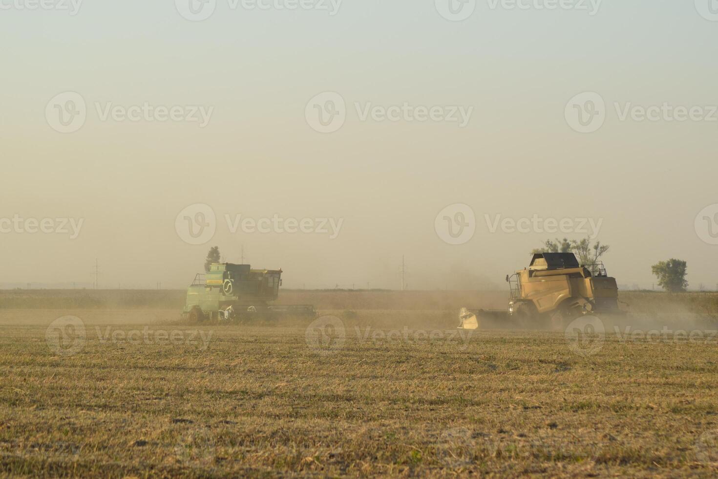 Soy harvesting by combines in the field. photo
