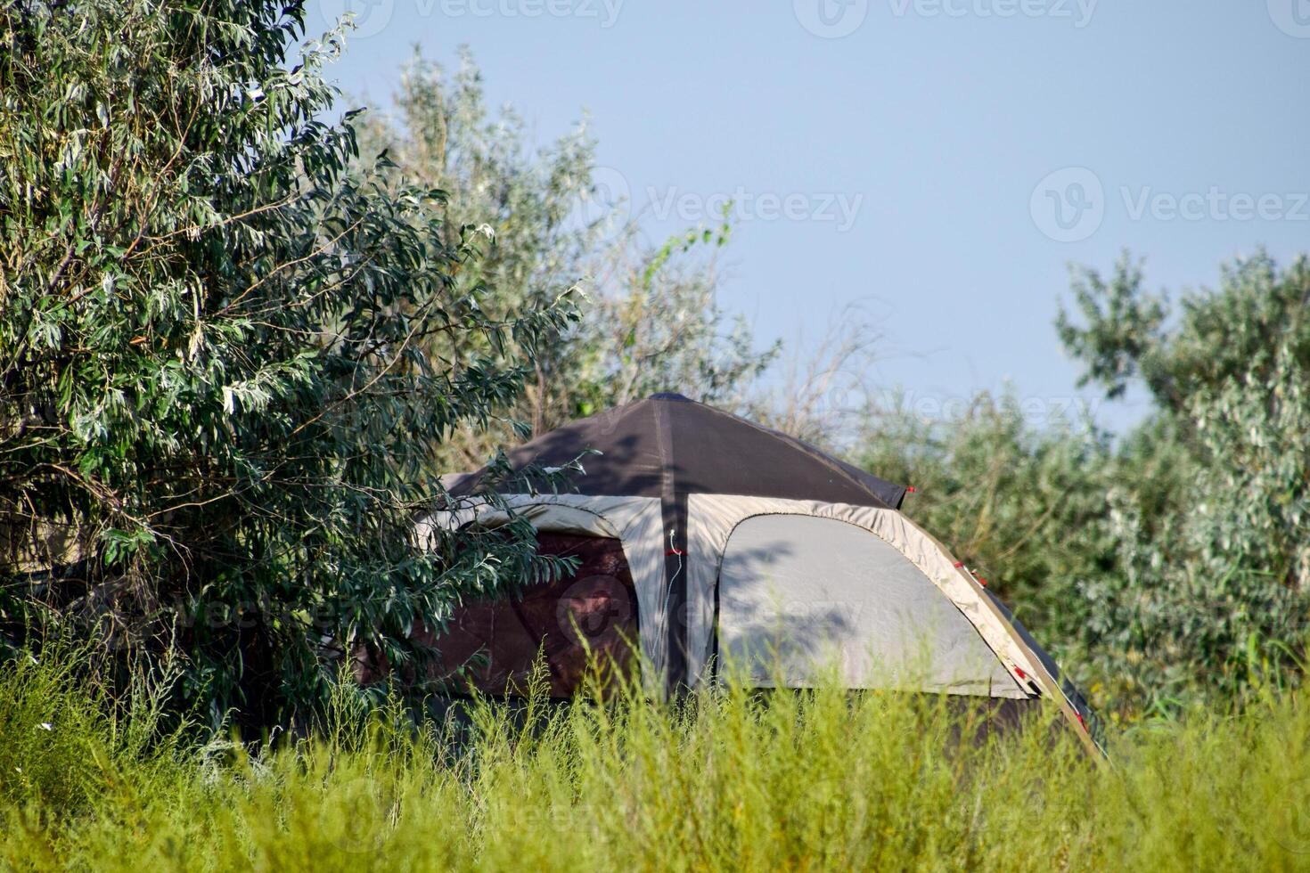 Tourist tent under a tree. Tourist Camping. Multi-Tent photo