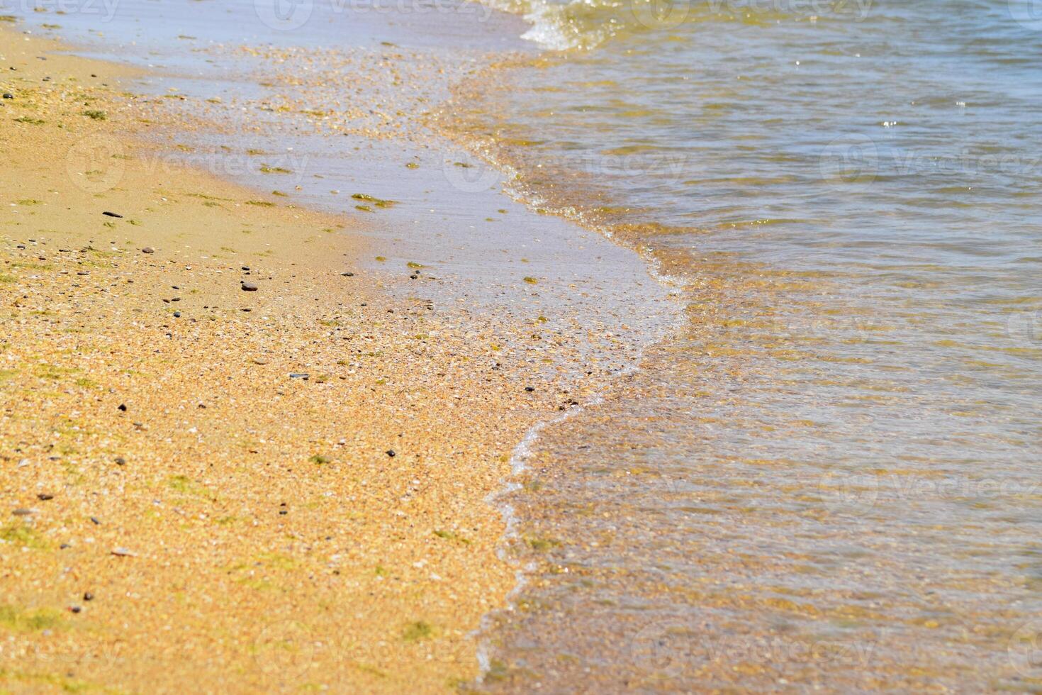 Coastal sea waves. Seawater with seaweed. Coastal algae. Sea beach. photo