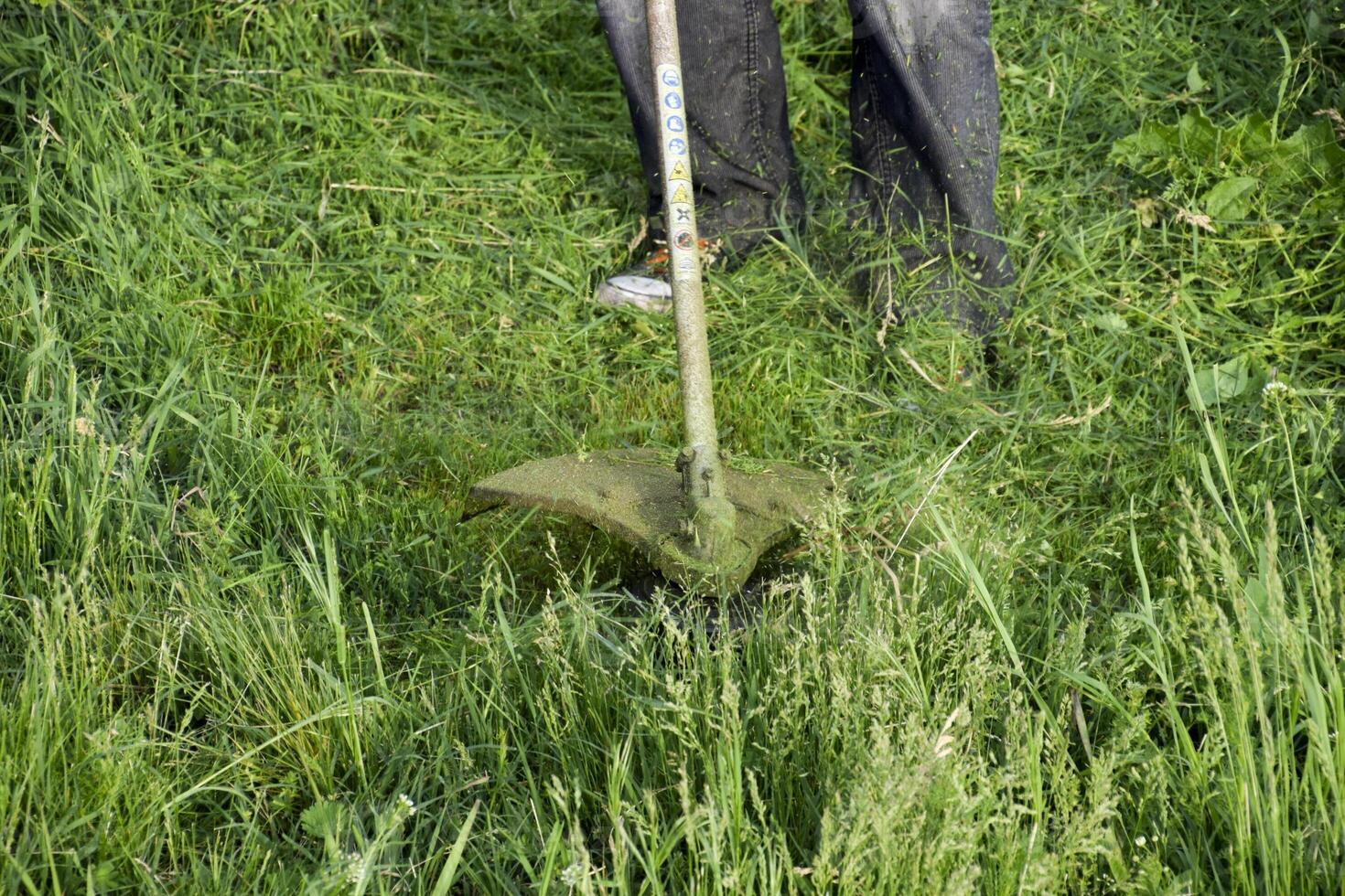 Application trimmers. Mowing green grass using a fishing line trimmer photo