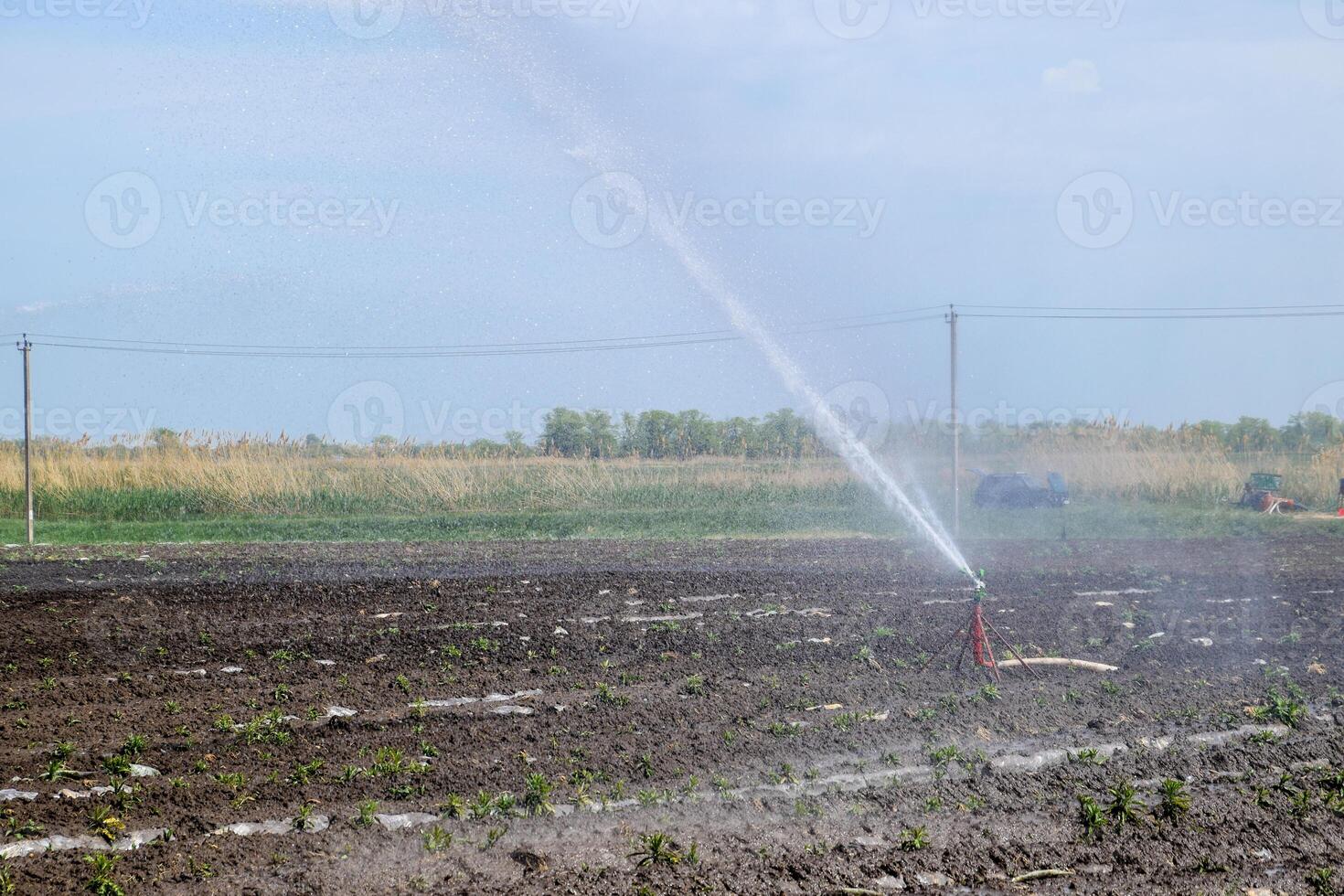 Irrigation system in field of melons. Watering the fields. Sprinkler photo