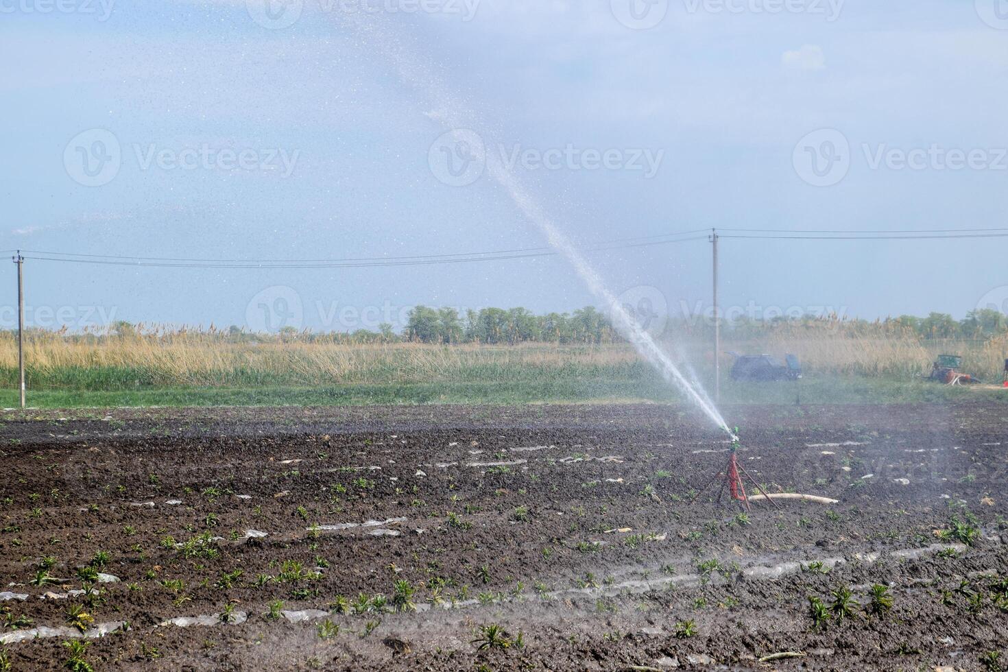 irrigación sistema en campo de melones riego el campos. aspersor foto