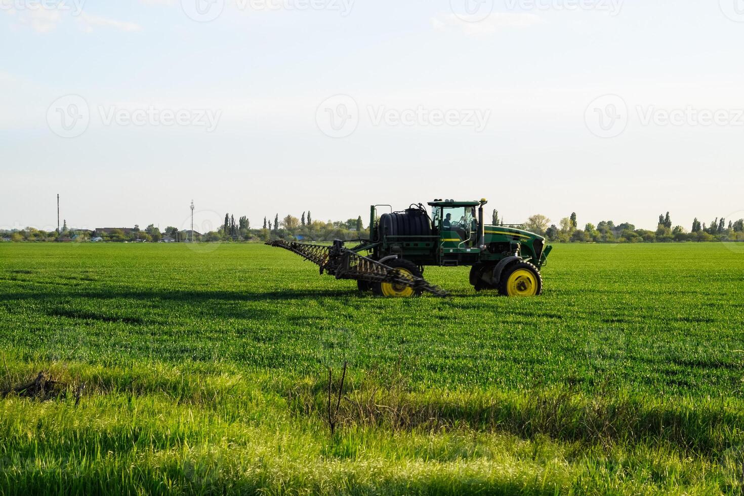 tractor with the help of a sprayer sprays liquid fertilizers on young wheat in the field. photo