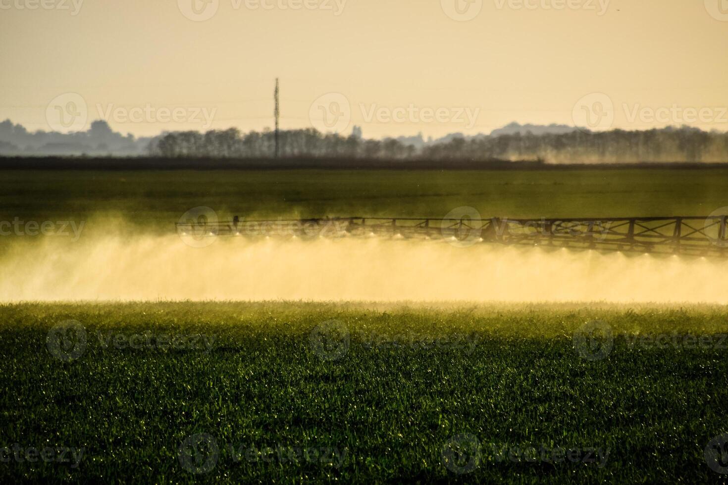 Jets of liquid fertilizer from the tractor sprayer. photo
