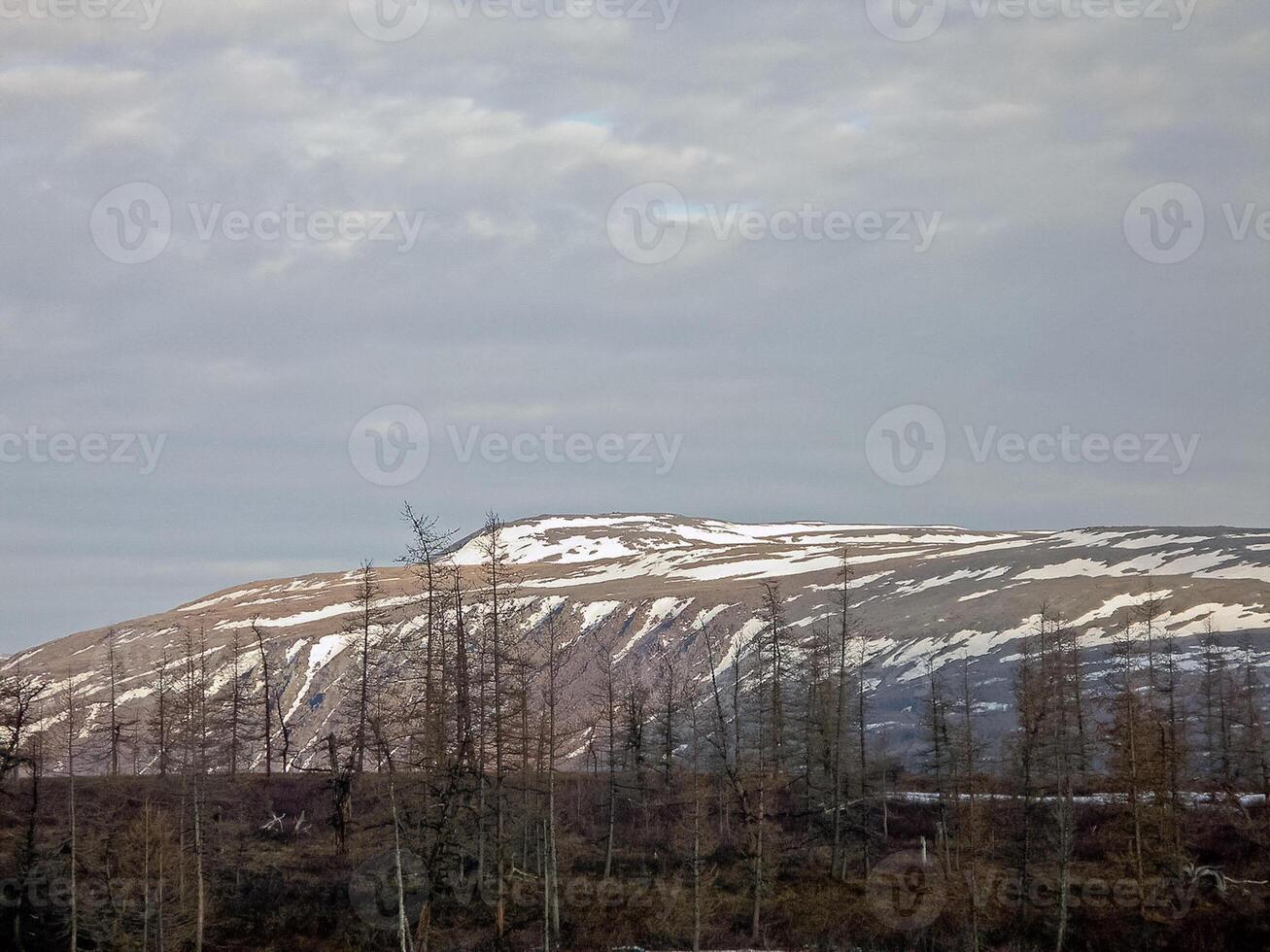 River landscape Early spring. bare trees, melting snow. photo