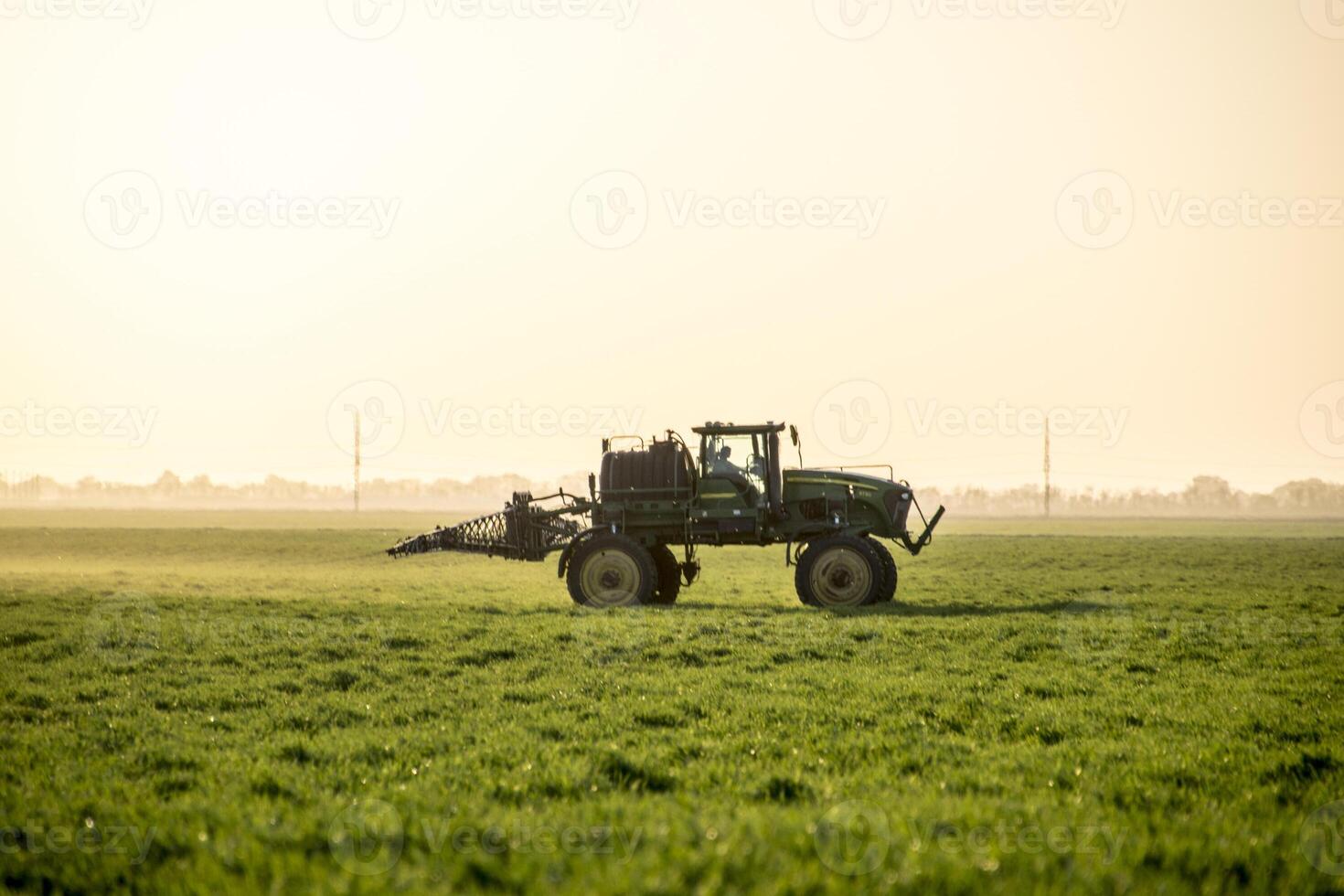 Tractor on the sunset background. Tractor with high wheels is making fertilizer on young wheat. The use of finely dispersed spray chemicals photo