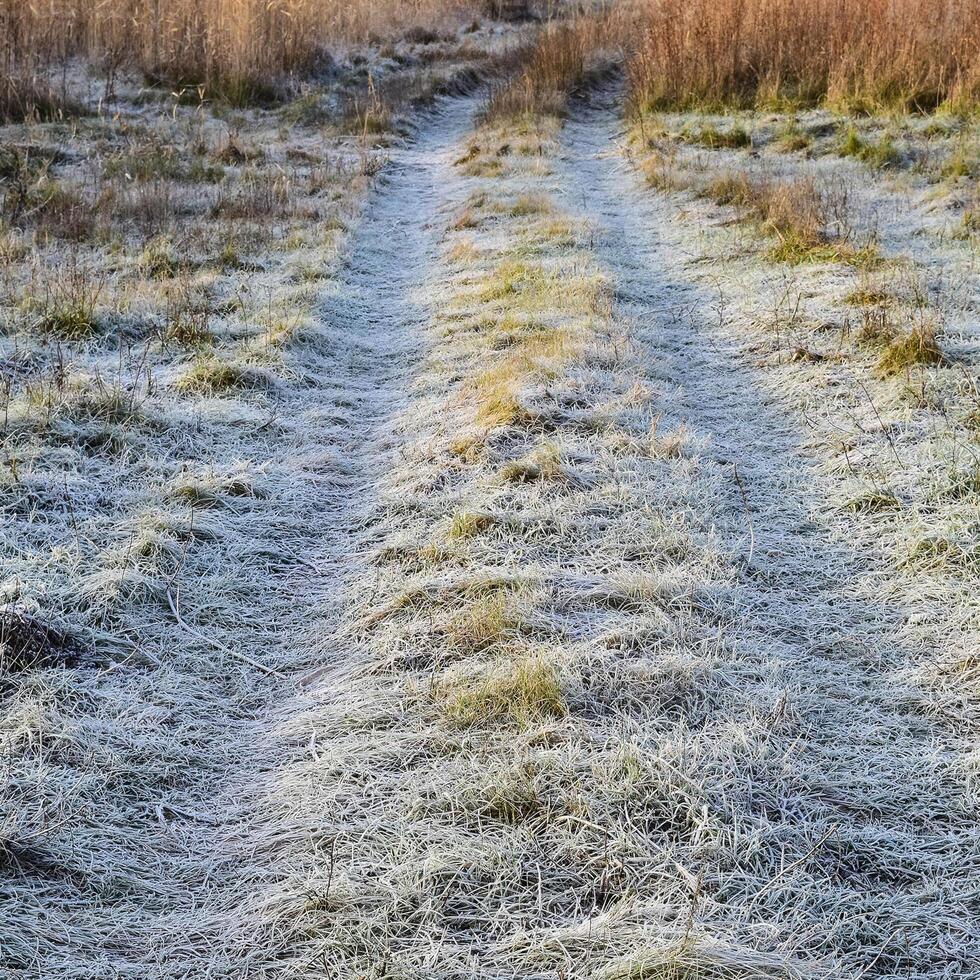 The road to the frosted grass. Frost on the road photo