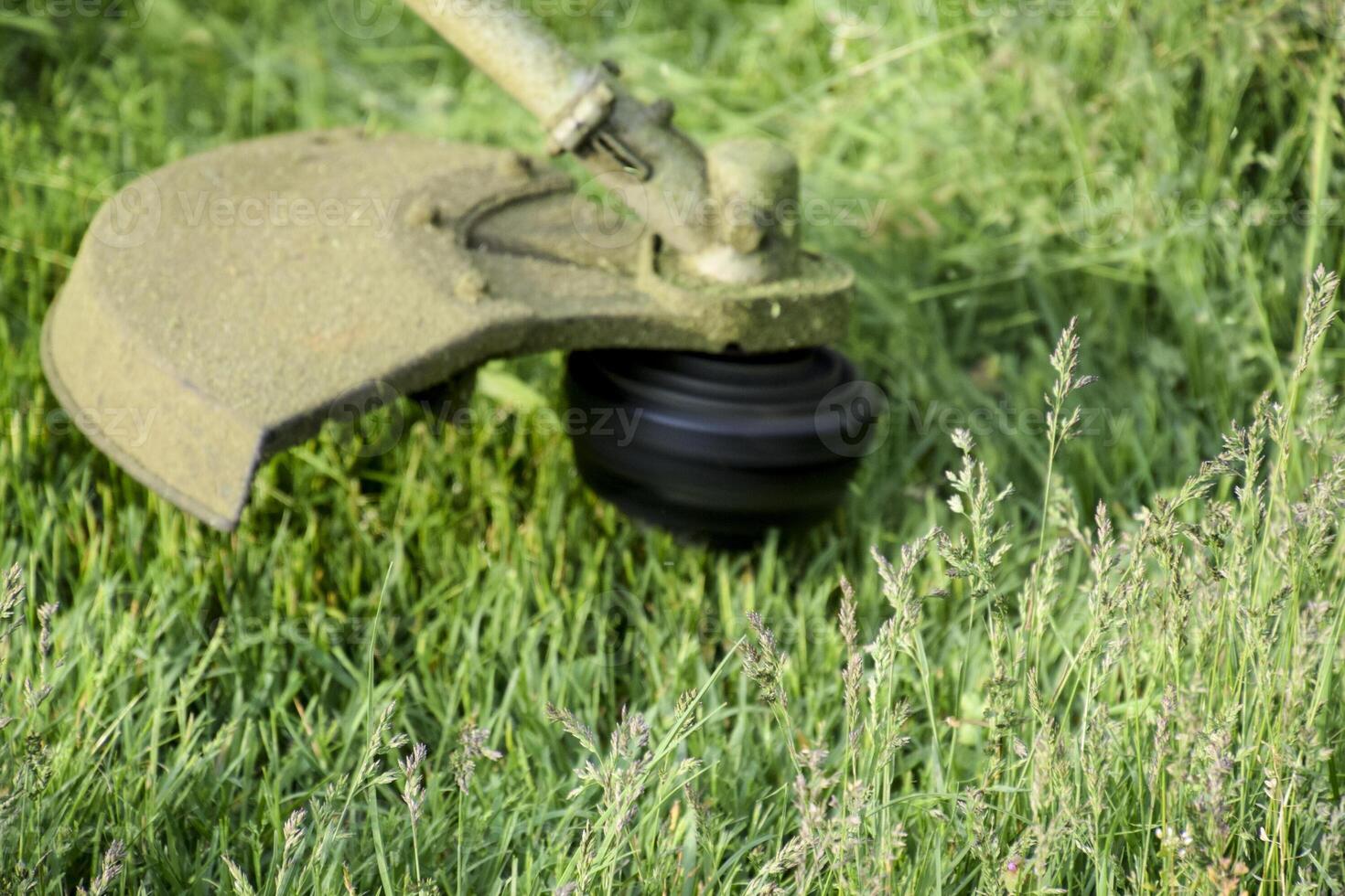 Application trimmers. Mowing green grass using a fishing line trimmer photo