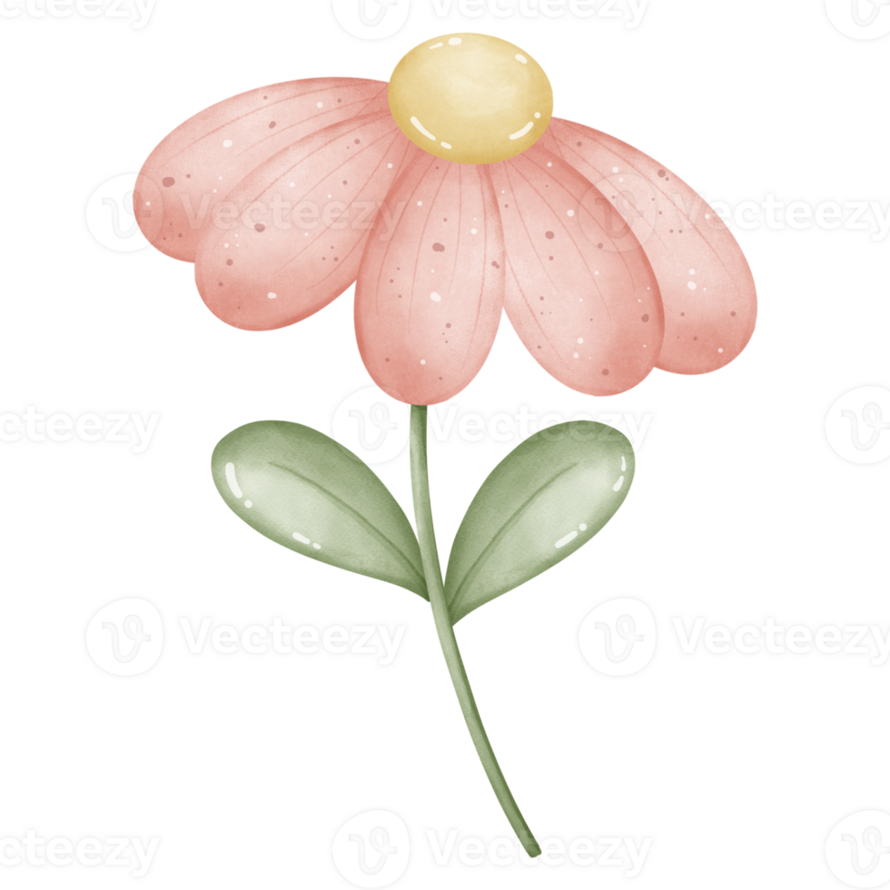 A pink flower illustration for decoration png