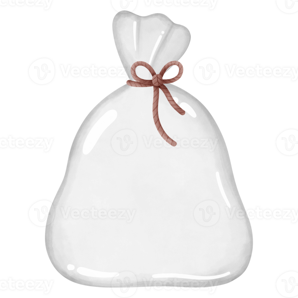 Plastic Bag Illustration for Packaging png