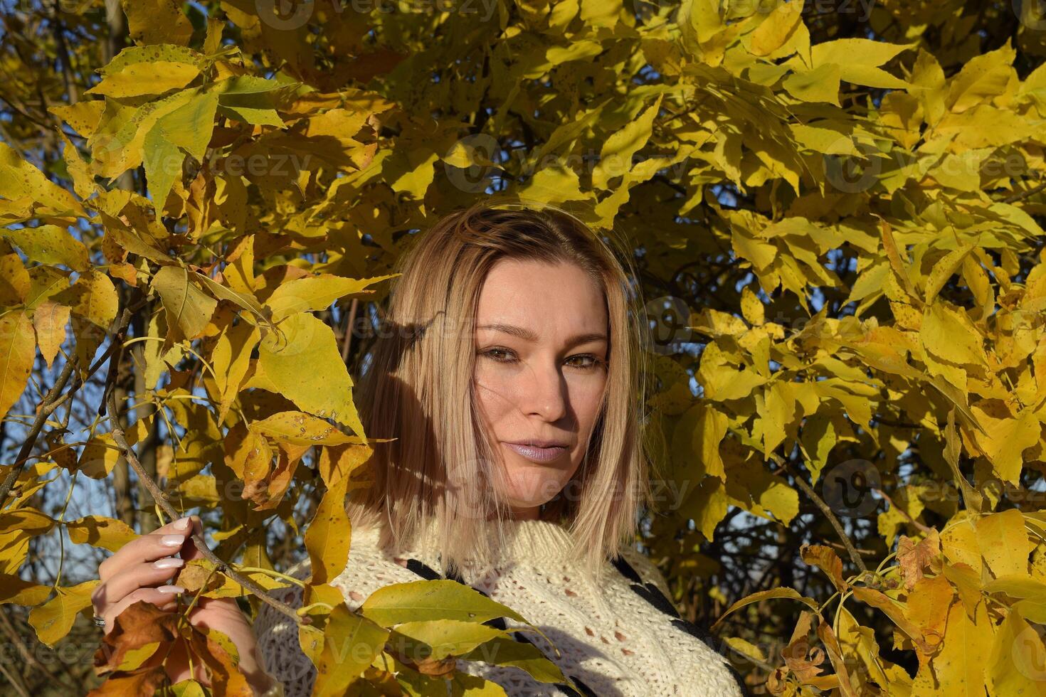 Girl on a background of yellow leaves of autumn trees. Autumn photo session.