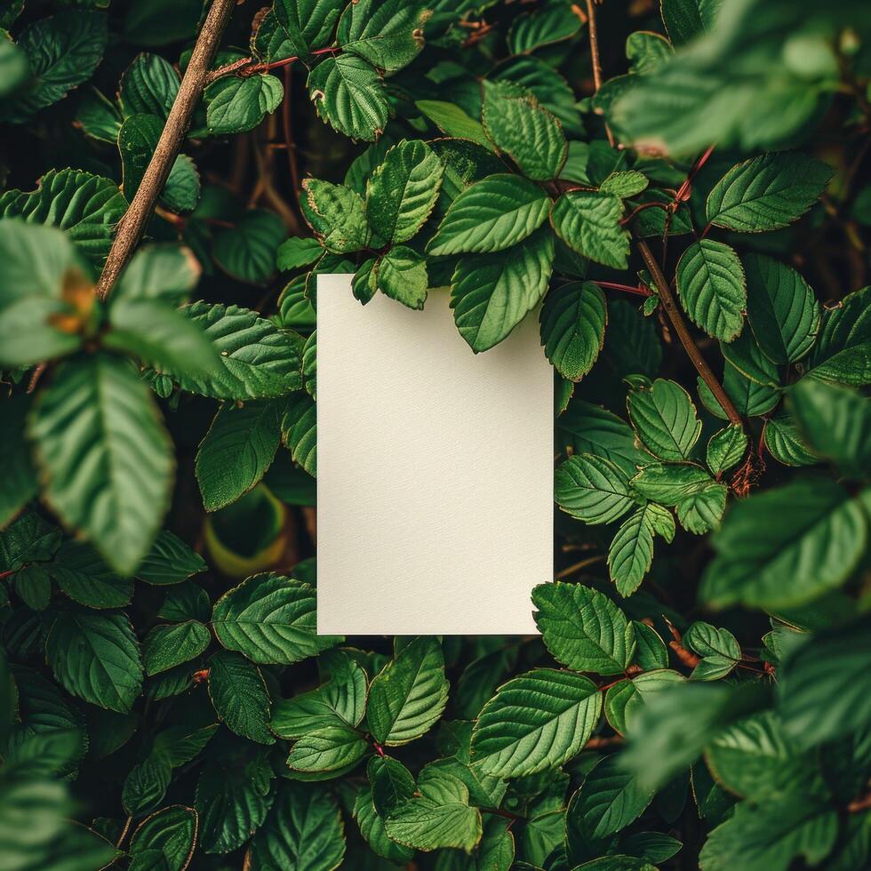 AI generated an empty paper card surrounded by green leaf photo