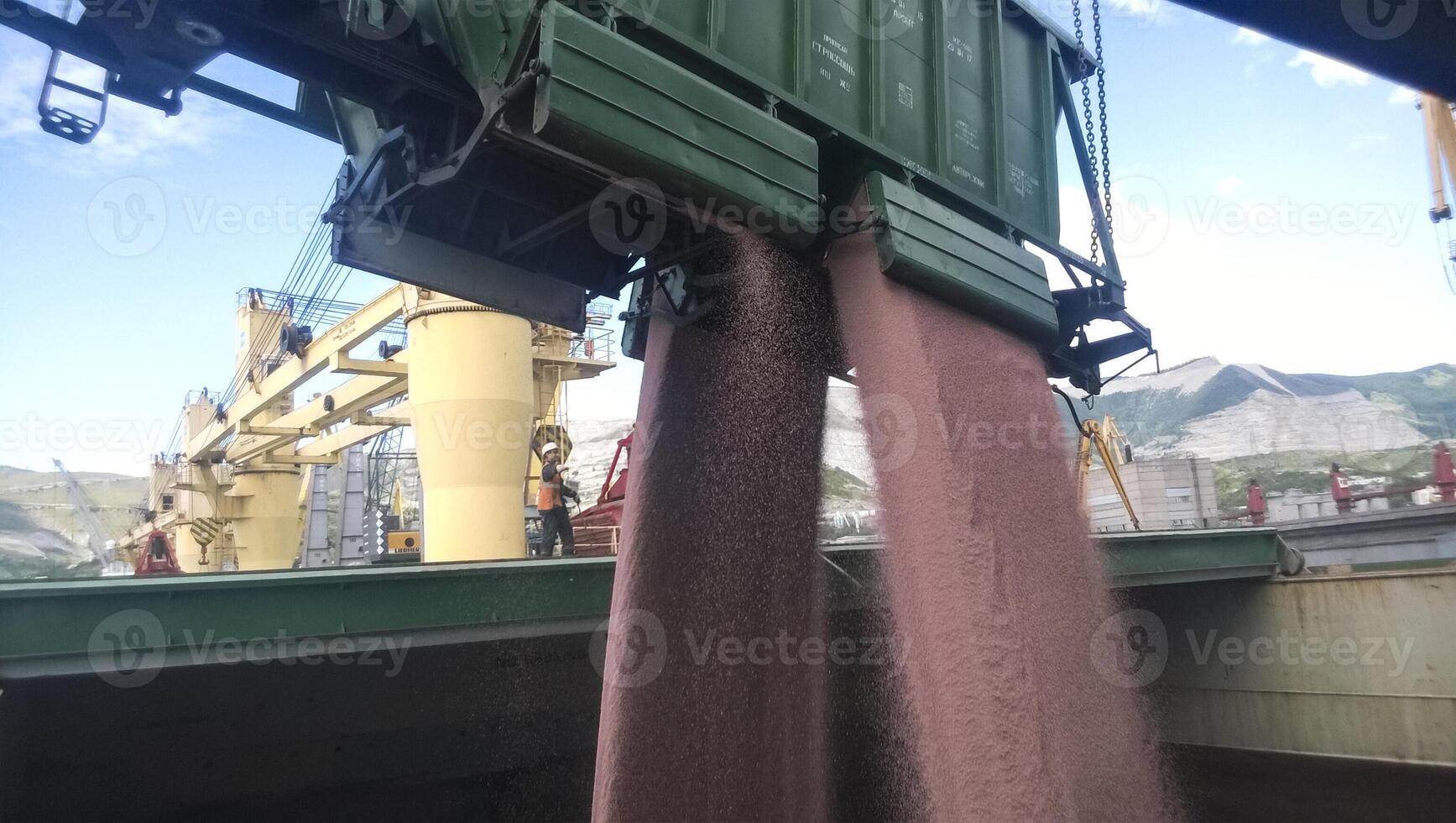 The precipitation of grain from the car into the hold of the tanker. Grain filling of the cargo compartment of the ship. photo