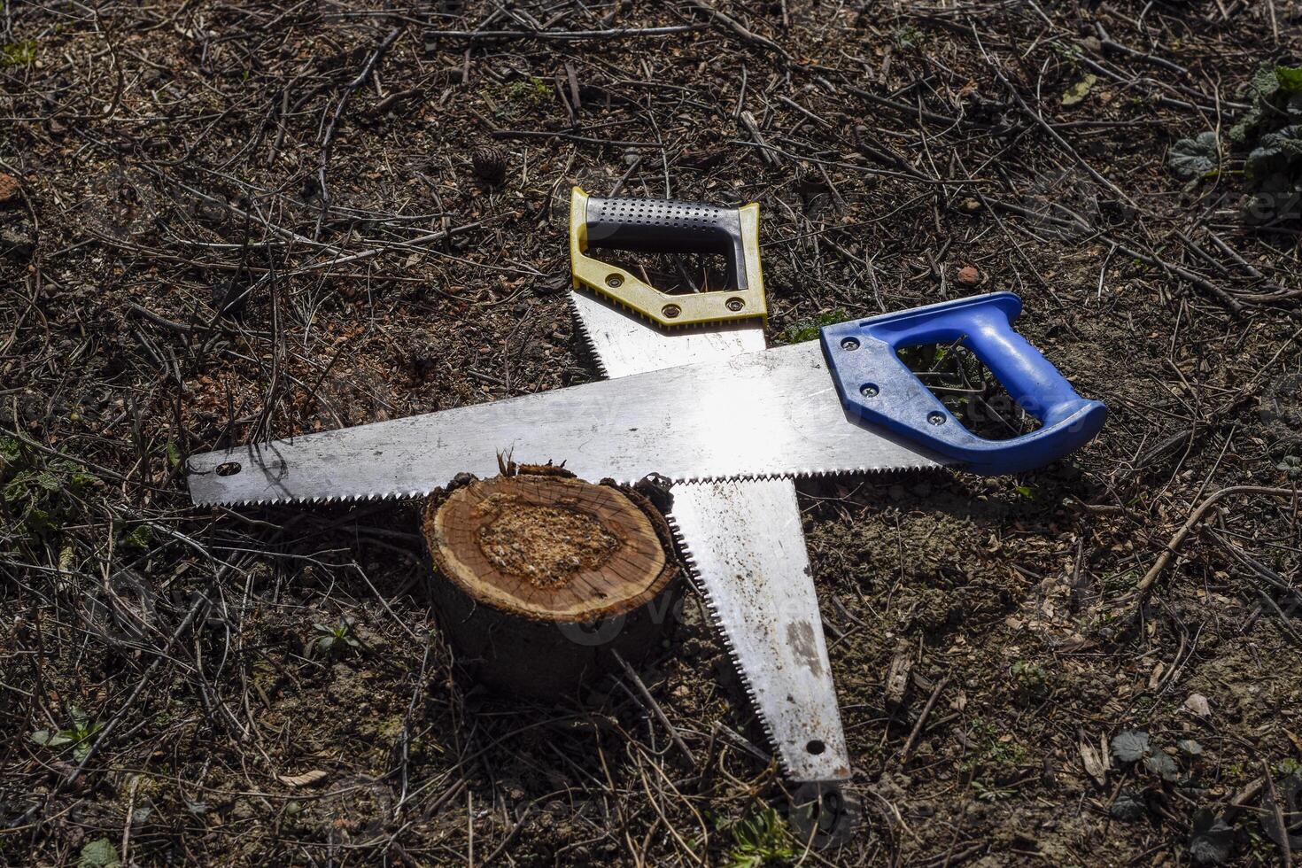 Two saws hacksaws lie across. Garden tool saw. photo