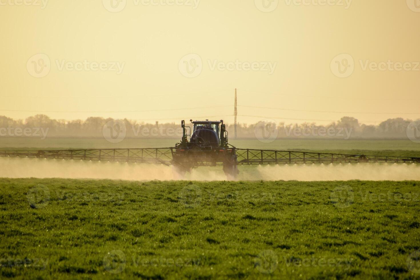 Tractor on the sunset background. Tractor with high wheels is making fertilizer on young wheat. The use of finely dispersed spray chemicals photo