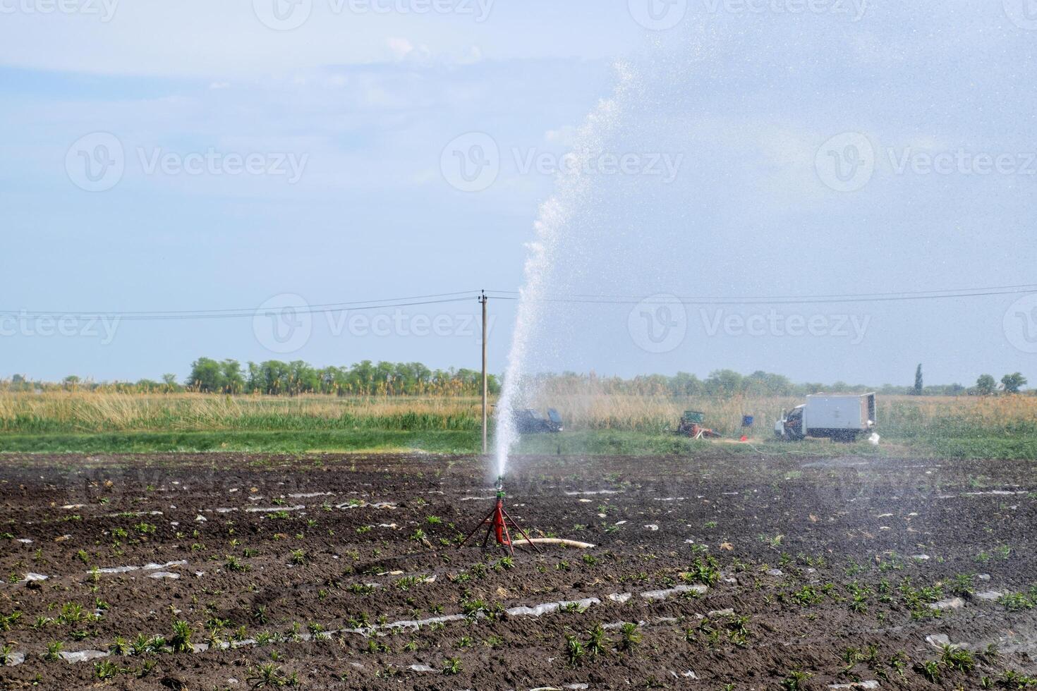 irrigación sistema en campo de melones riego el campos. aspersor foto