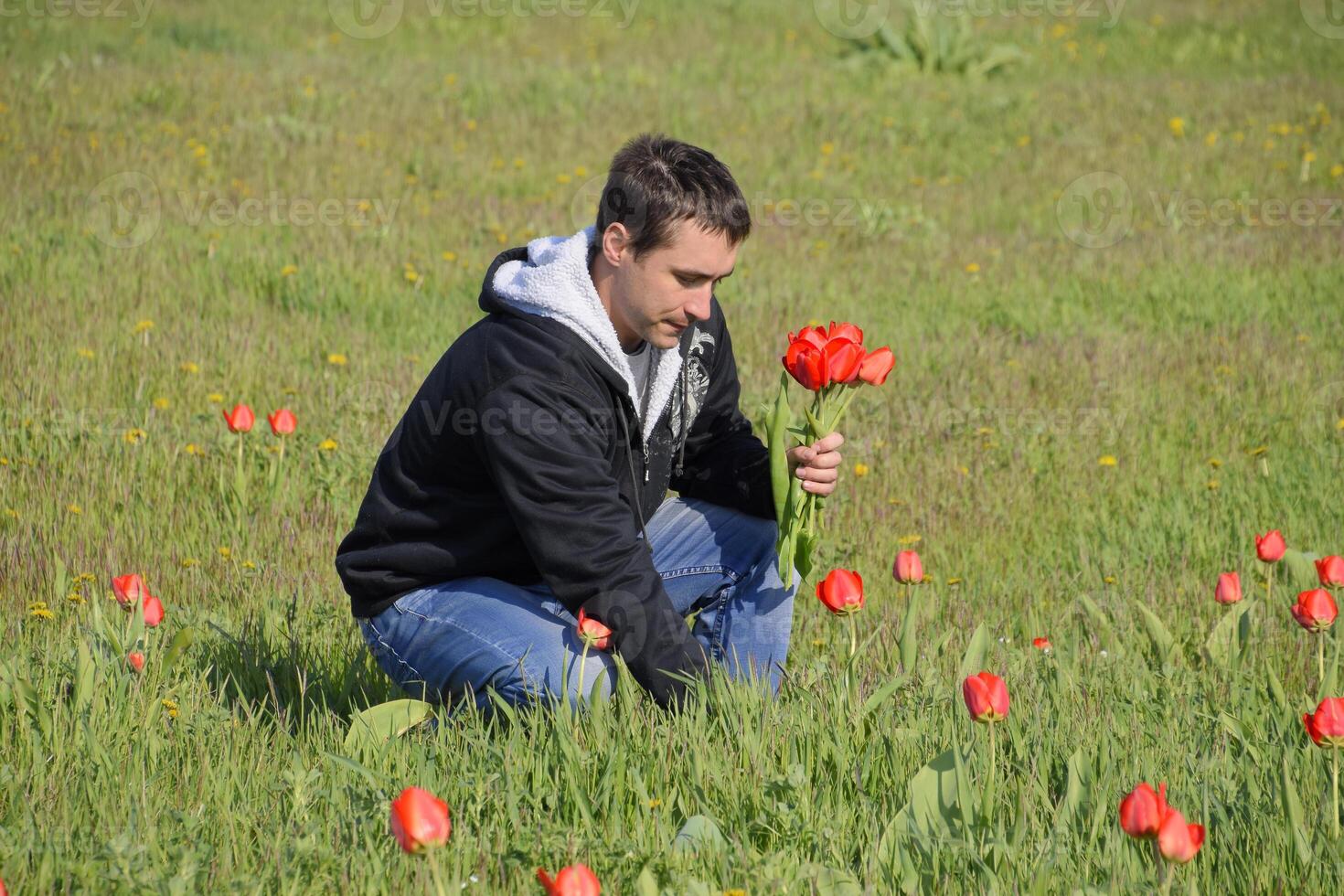 A man in a jacket on a field of tulips. Glade with tulips photo