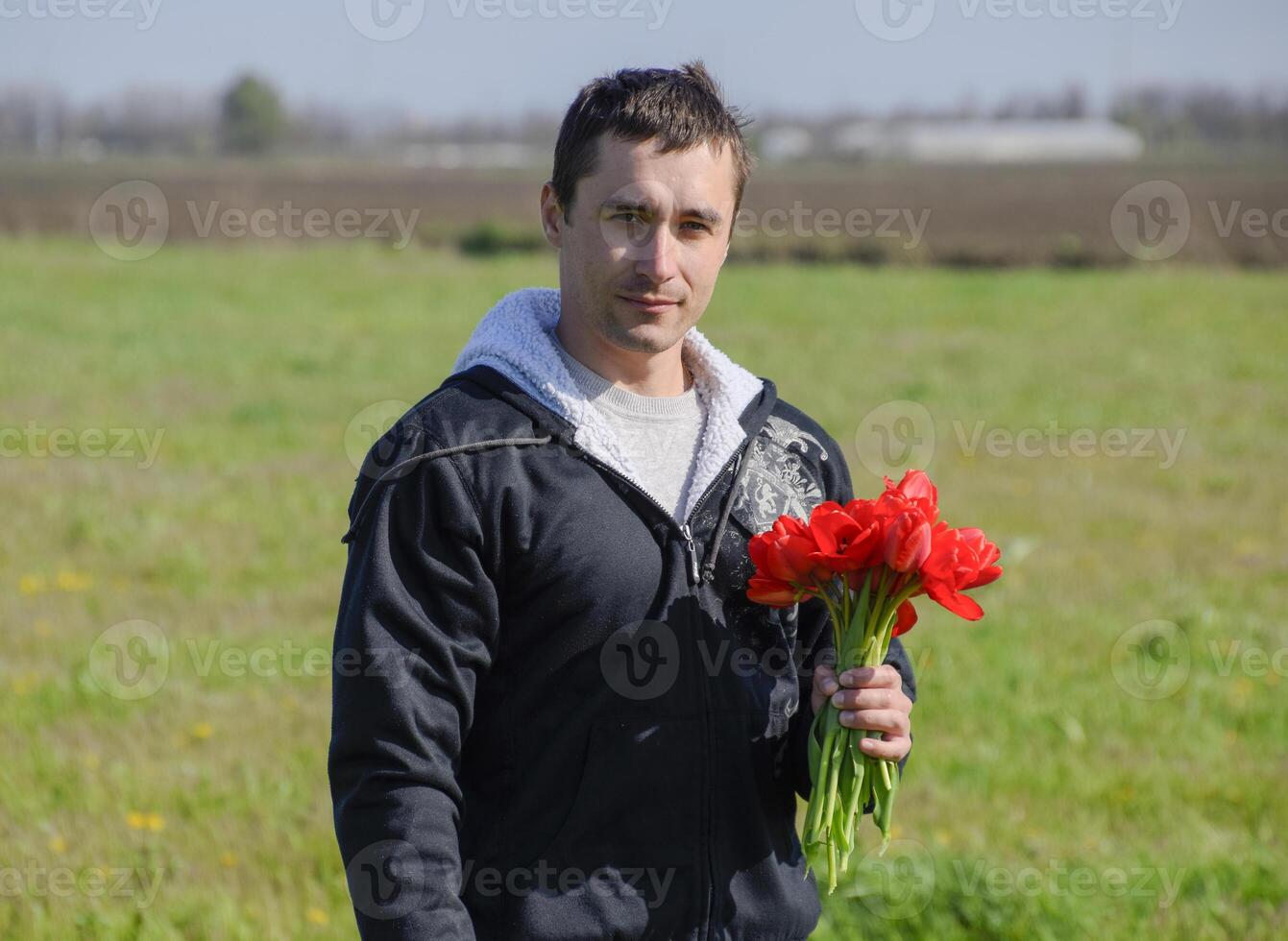 A man in a jacket on a field of tulips. Glade with tulips. A man is tearing tulips in a bouquet photo
