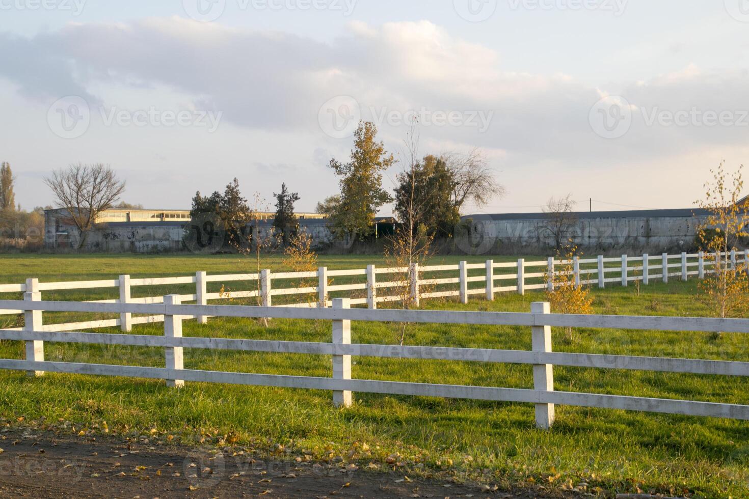 white fence made of wood around the park with small seedlings. photo