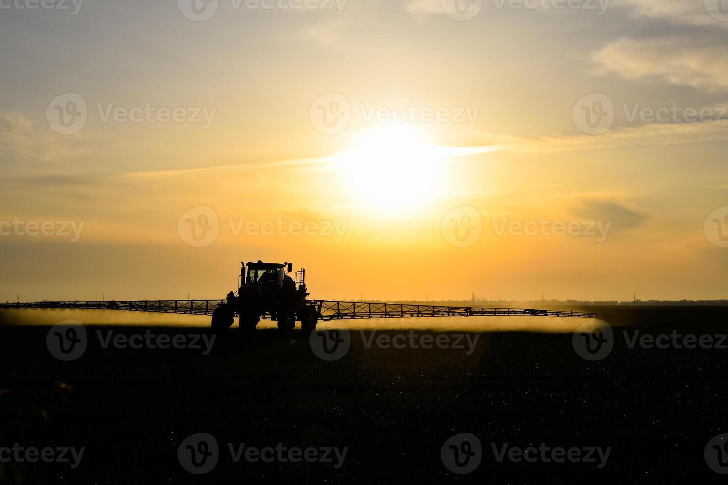 tractor con el ayuda de un rociador aerosoles líquido fertilizantes en joven trigo en el campo. foto