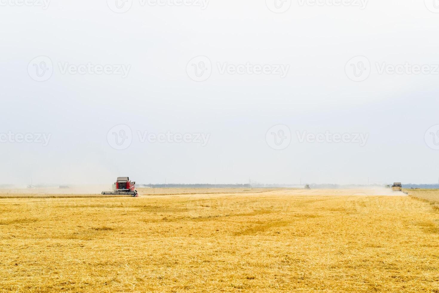 Harvesting wheat with a combine harvester. photo