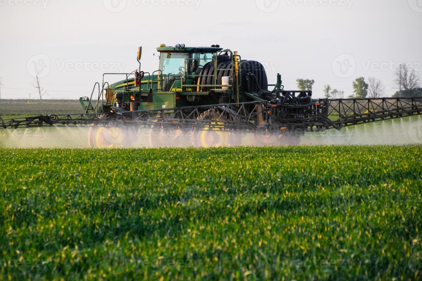 tractor with the help of a sprayer sprays liquid fertilizers on young wheat in the field. photo