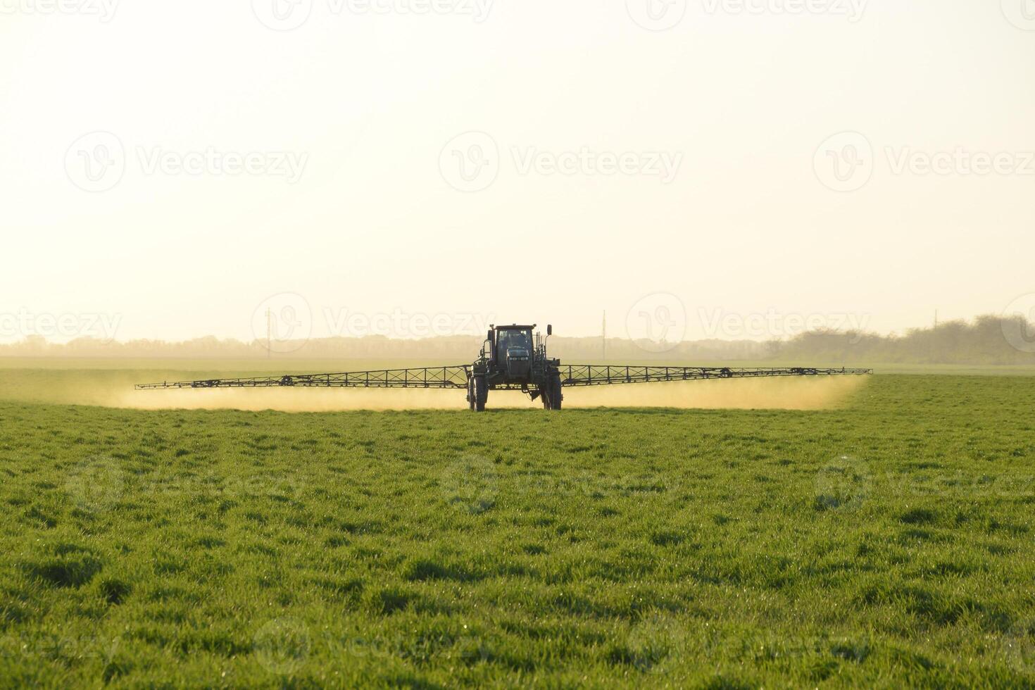 tractor en el puesta de sol antecedentes. tractor con alto ruedas es haciendo fertilizante en joven trigo. el utilizar de finamente disperso rociar productos quimicos foto