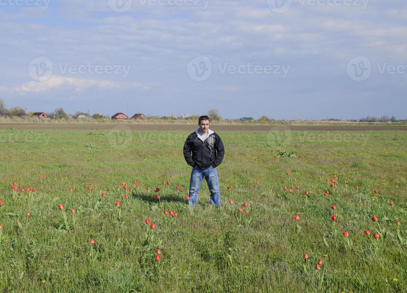 A man in a jacket on a field of tulips. Glade with tulips photo