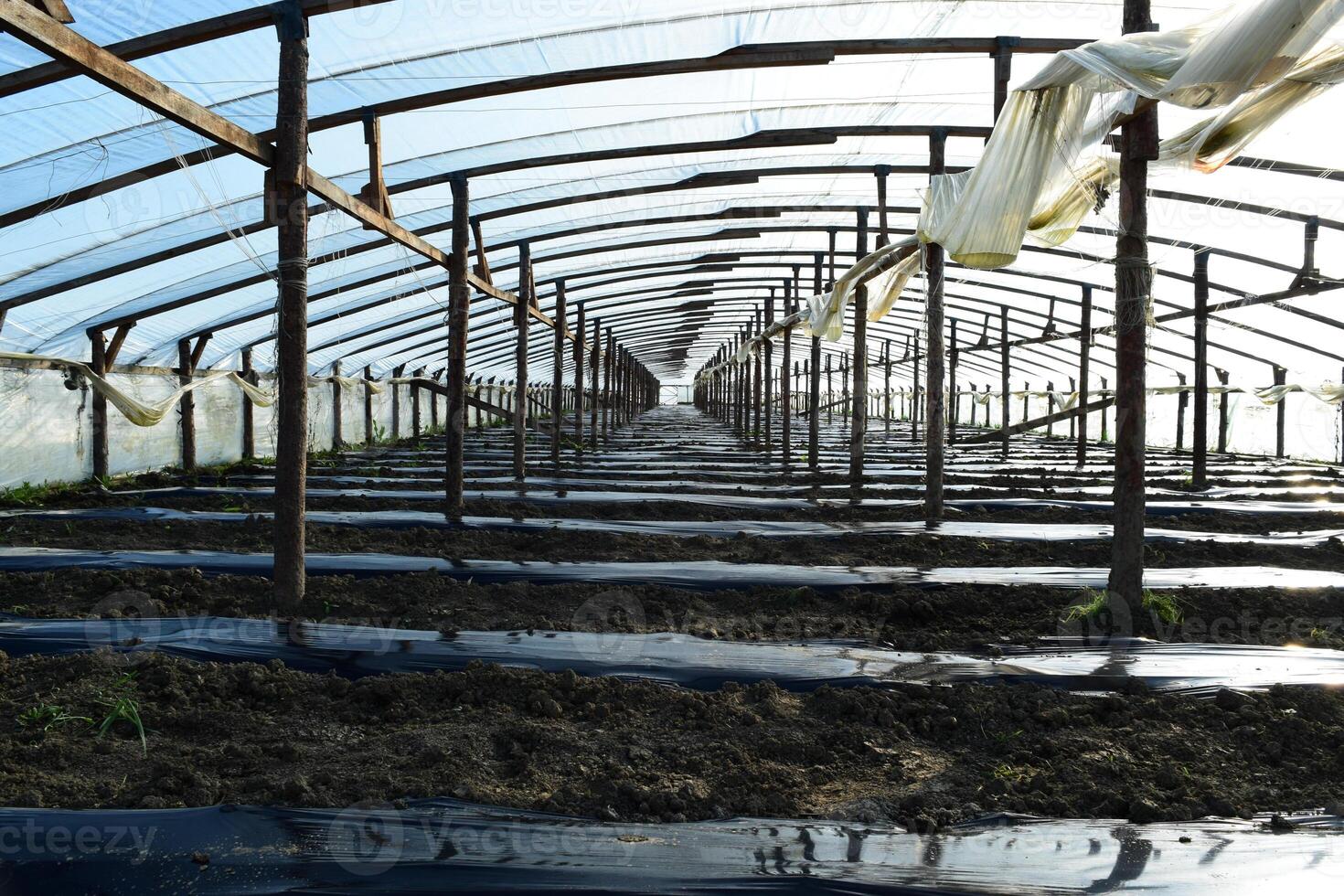 Greenhouses made of polymer film. Early spring in the garden greenhouses photo