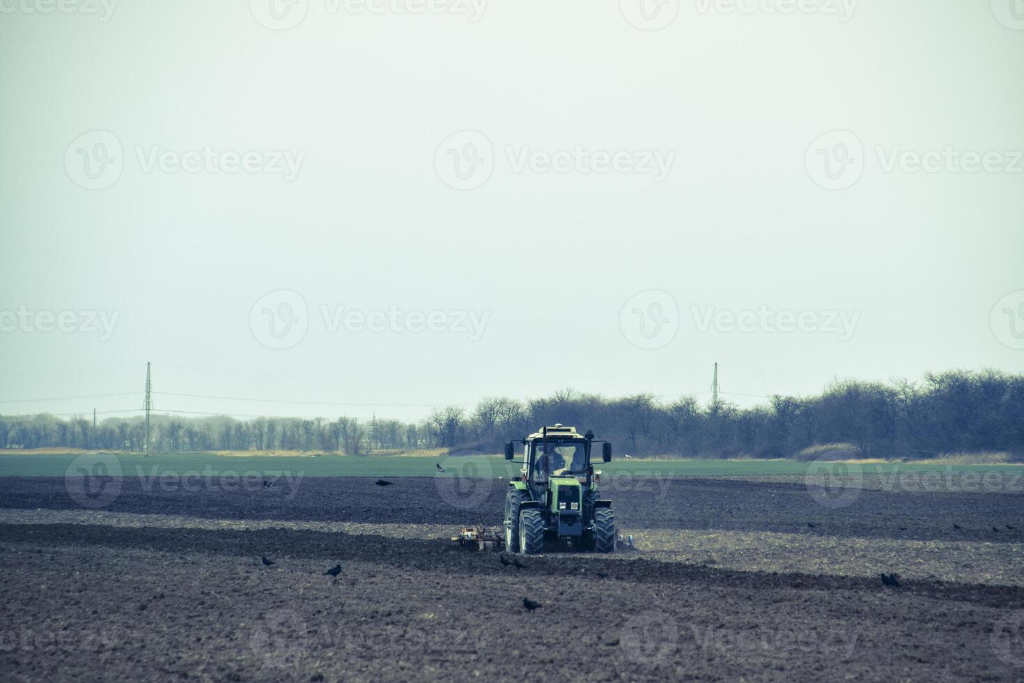 Lush and loosen the soil on the field before sowing. The tractor plows a field with a plow photo
