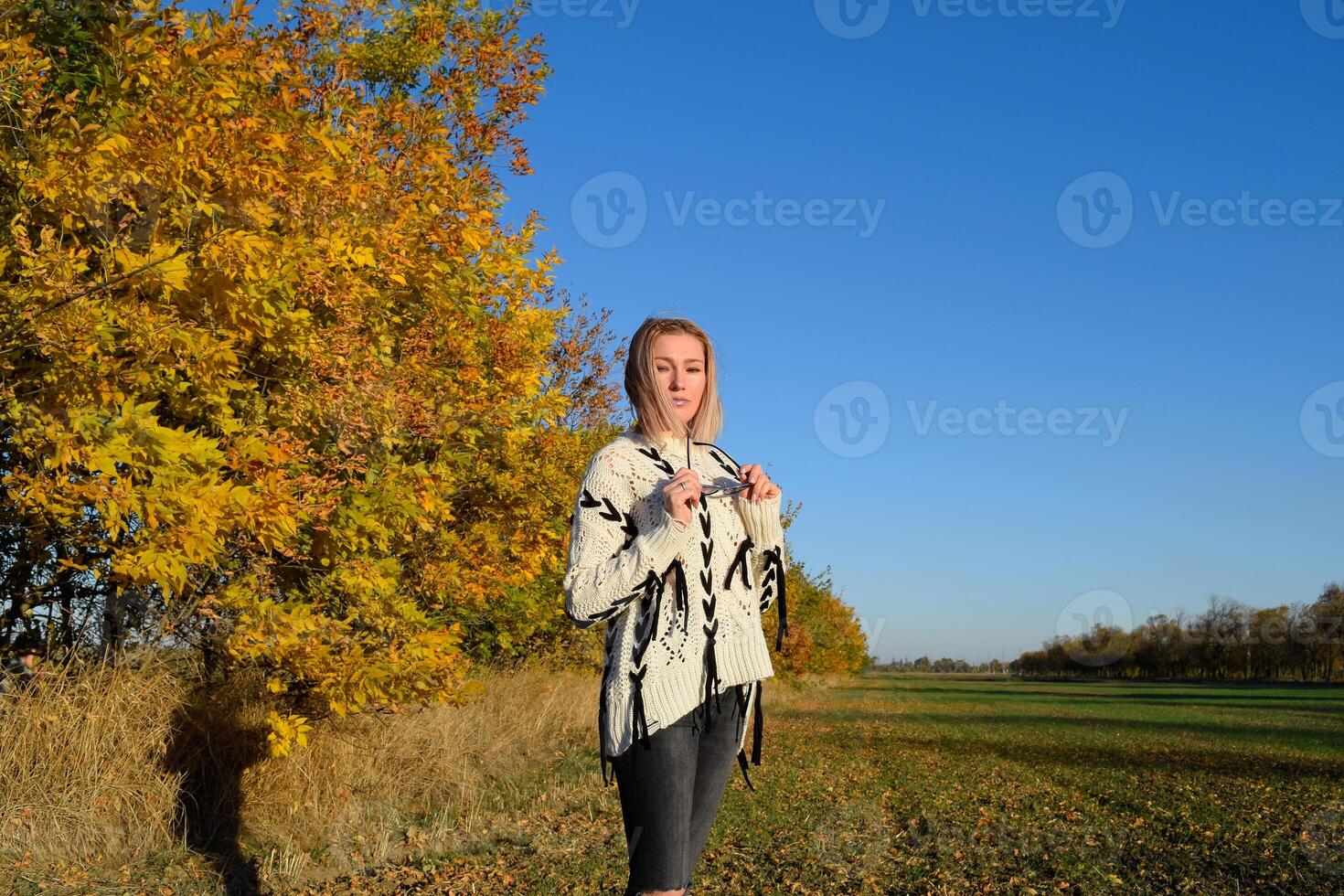 Girl on a background of yellow leaves of autumn trees. Autumn photo session.