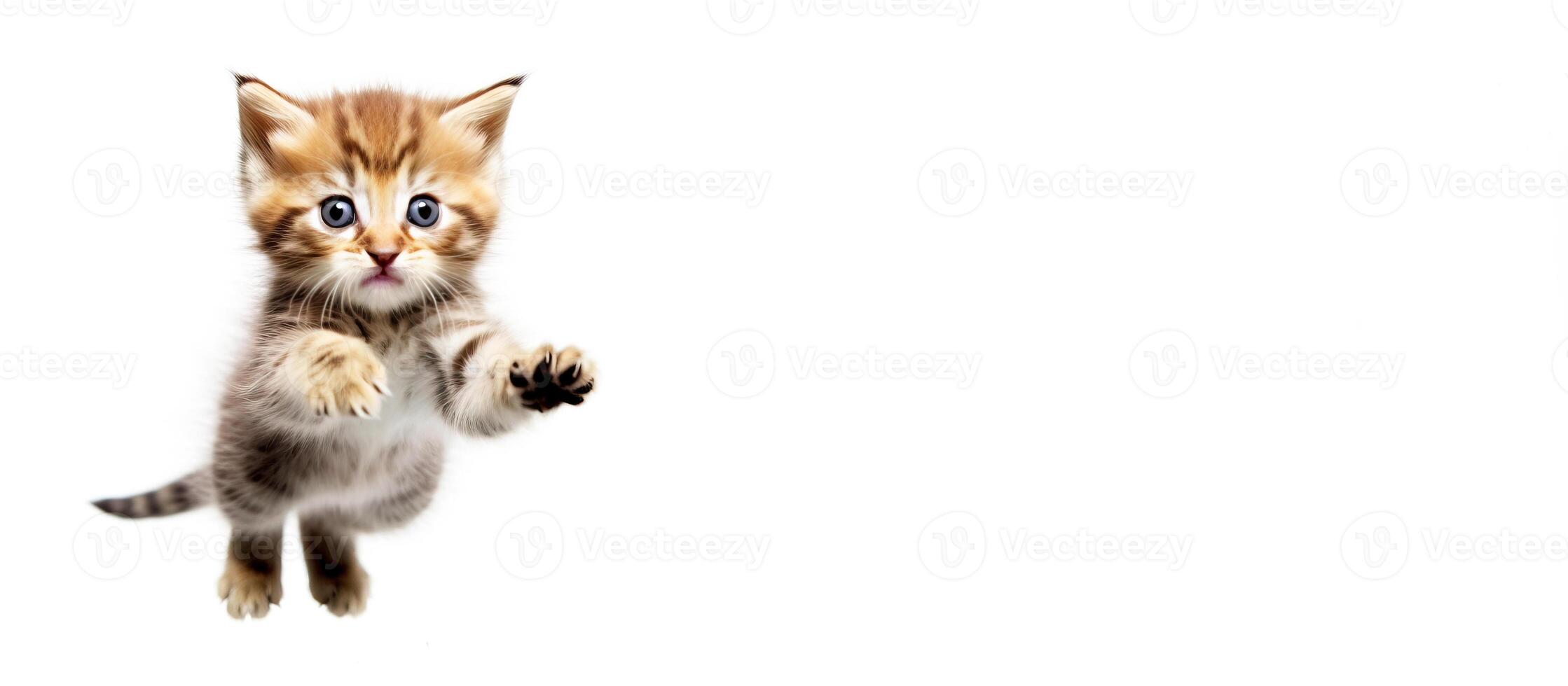 AI generated A small beautiful kitten plays happily in a jump, white background isolate. photo