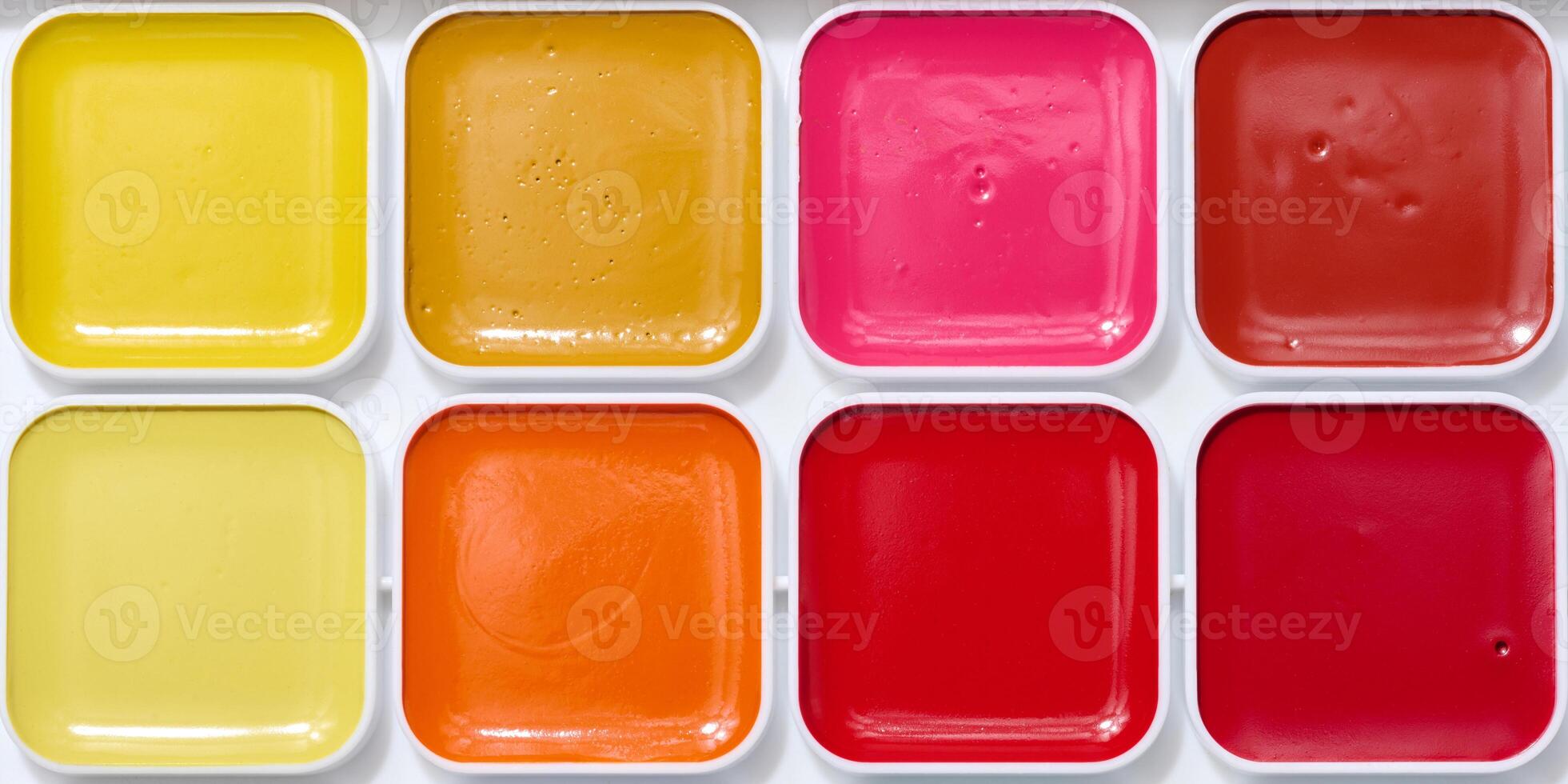 Watercolor paint palette, object for drawing and creativity photo