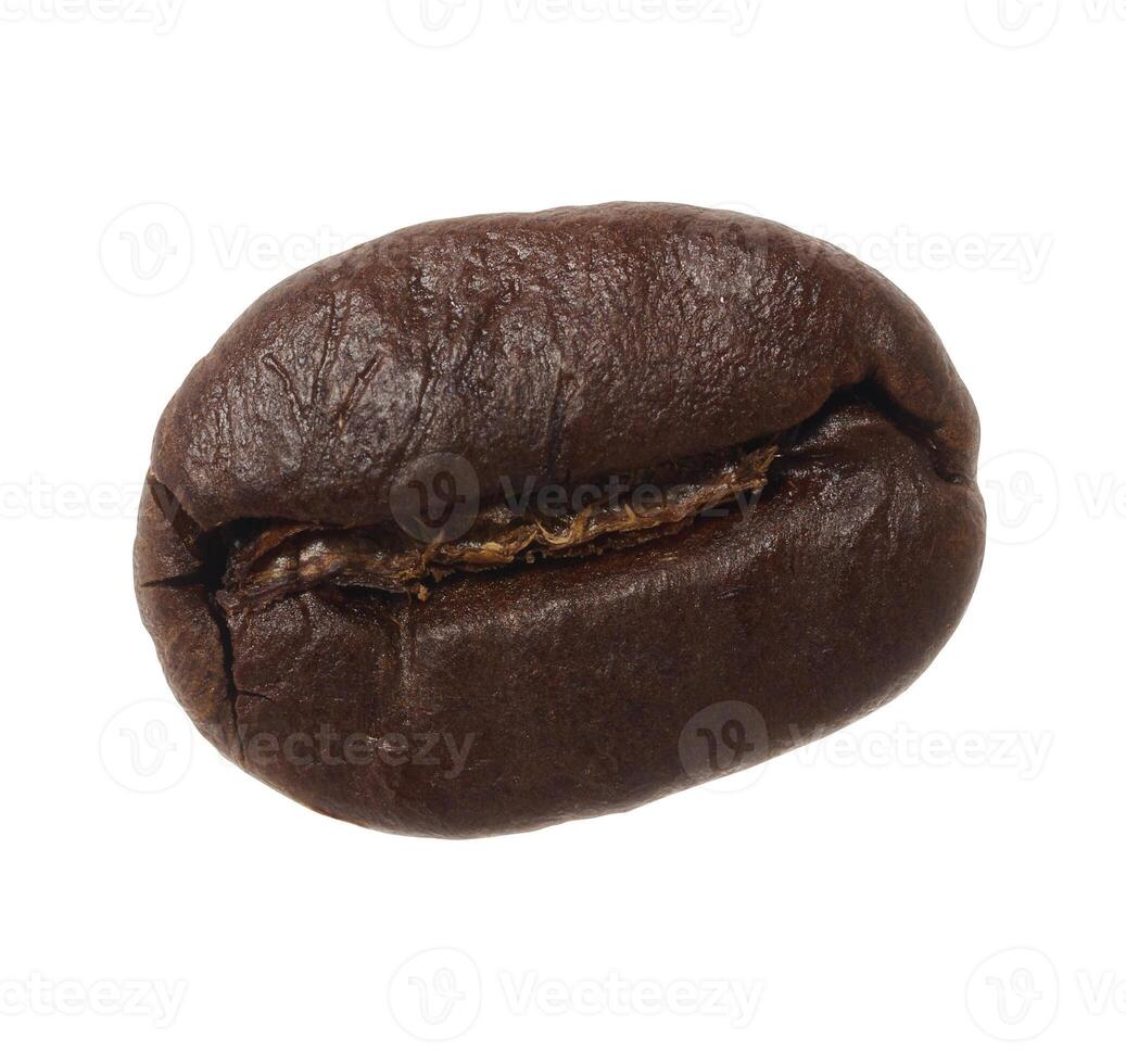 Roasted coffee bean on isolated background photo