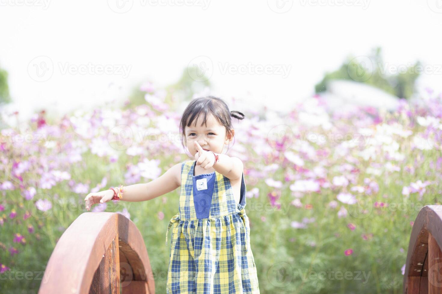 happy woman standing on wooden bridge with yellow cosmos flower field photo