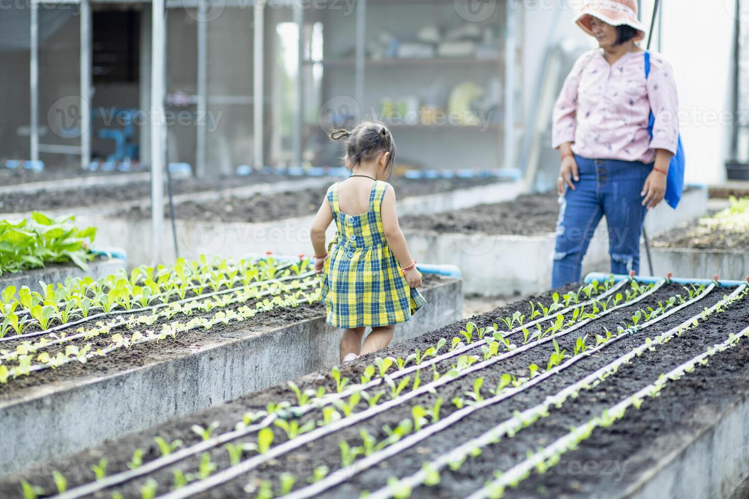 A mother and daughter look at the lettuce seedlings that have been planted in the vegetable garden. photo