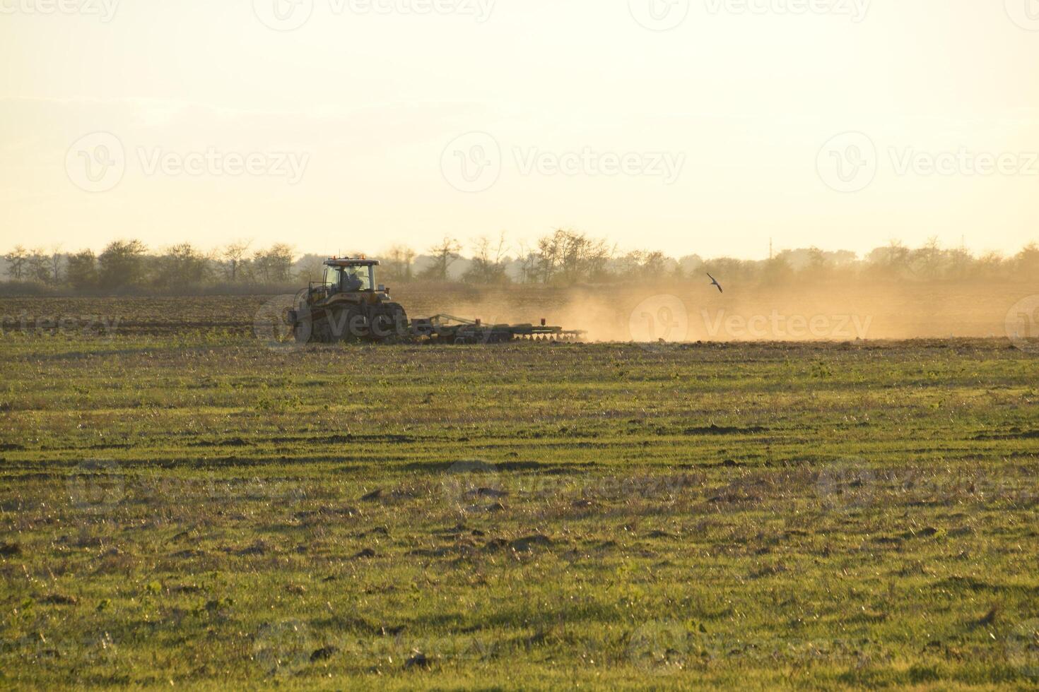 Tractor at sunset plow plow a field. Tilling the soil in the fall after harvest. The end of the season photo