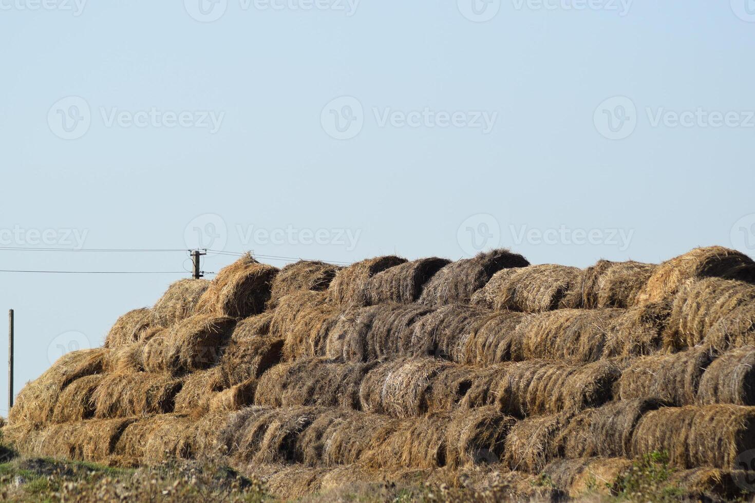 Haystacks in the field photo