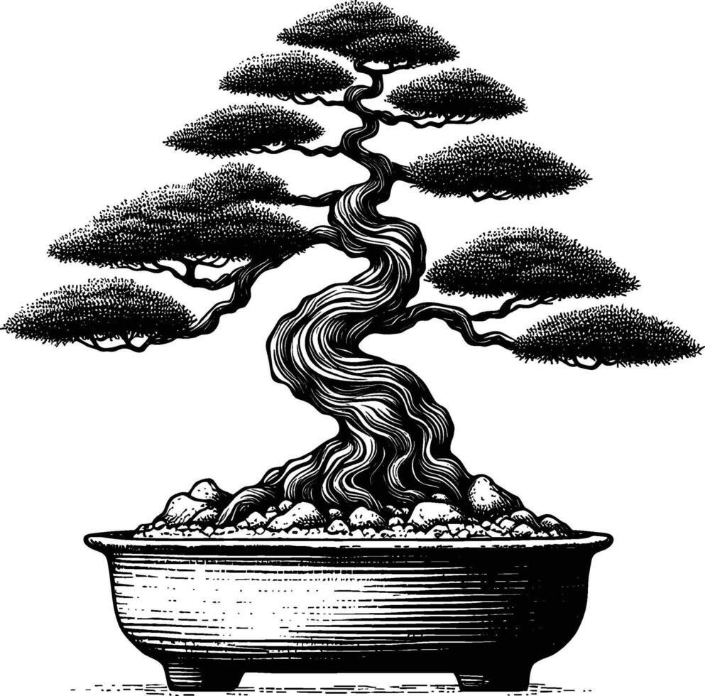 Artistic Hand Drawn Bonsai Tree Line Art Vector