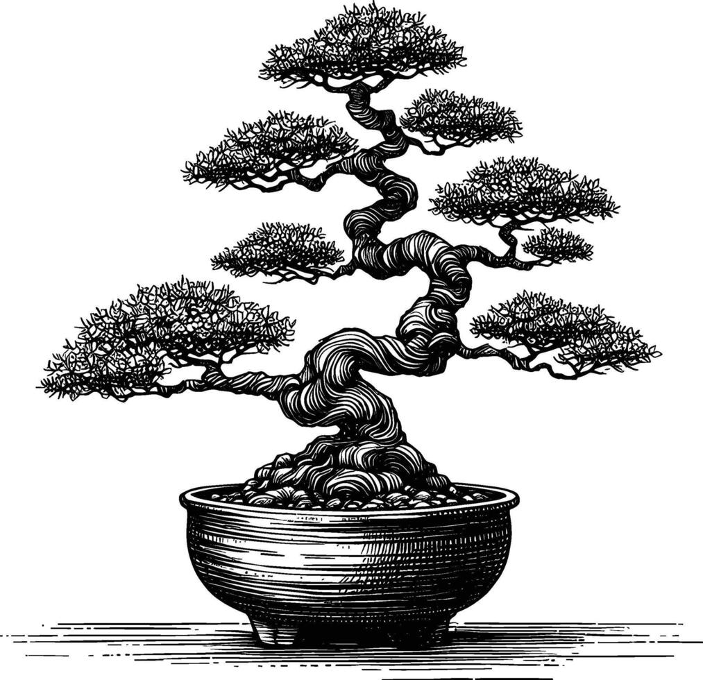 Artistic Hand Drawn Bonsai Tree Line Art Vector