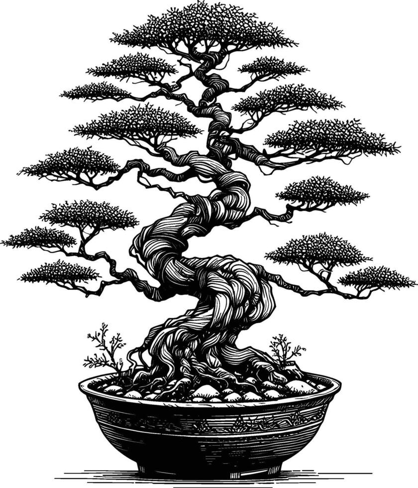 Artistic Hand Drawn Bonsai Tree Line Art Vector