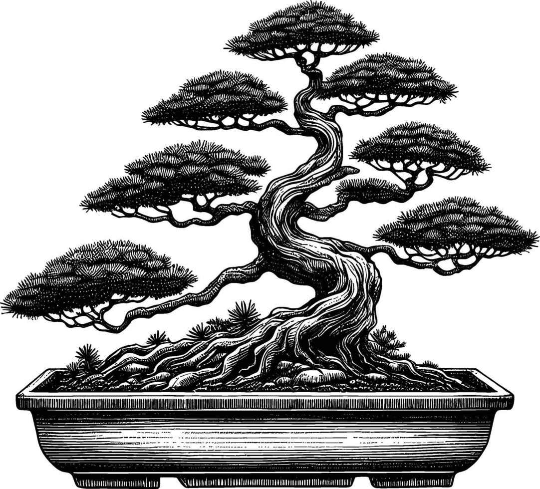 Artistic Hand Drawn Bonsai Tree Line Art Vector