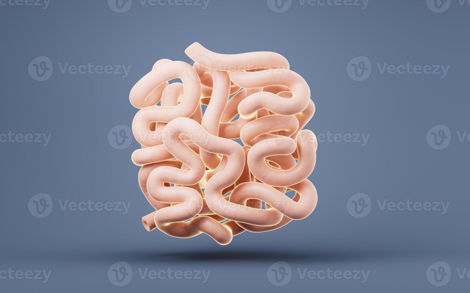 Intestinal tract with digestive health concept, 3d rendering. photo