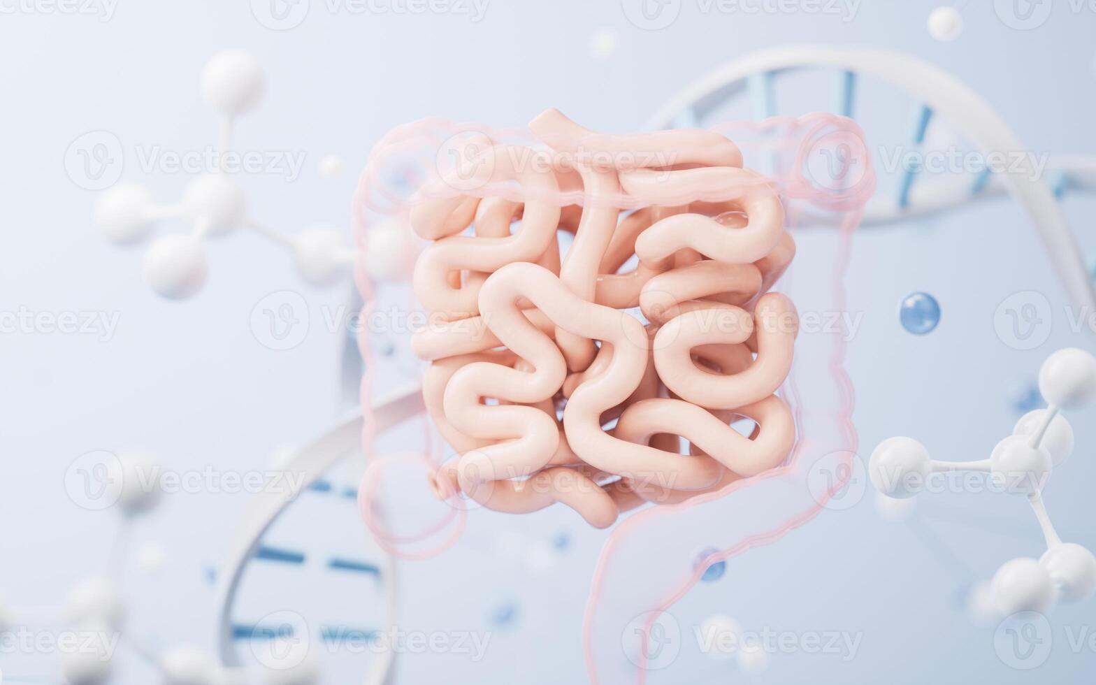 Intestinal tract with digestive health concept, 3d rendering. photo