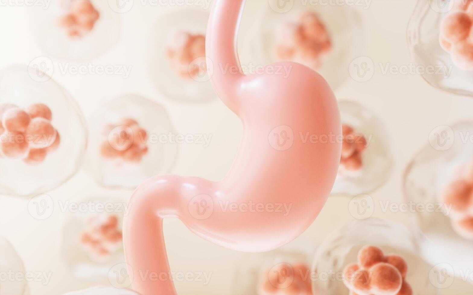 Human stomach and cell background, 3d rendering. photo