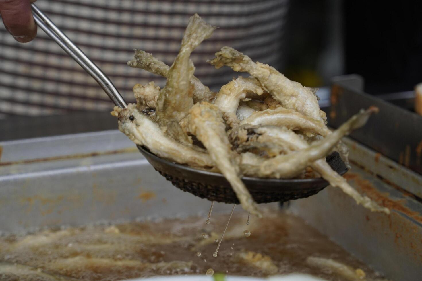 Anadolu Kavagi fresh fish restaurant bosphorus cruise turkey photo