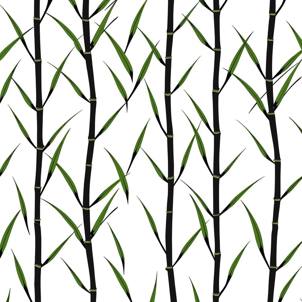 Bamboo Seamless Vertical Border on white background, Seamless pattern of green bamboo stalks. vector